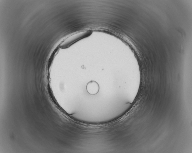 X0000112531124200909281032