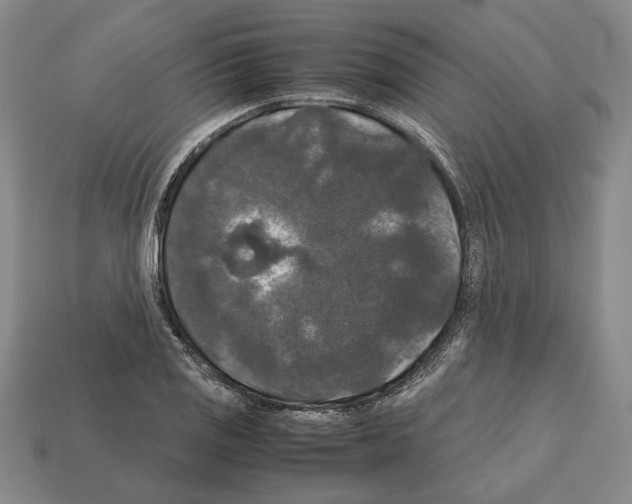 X0000112531125200909281032