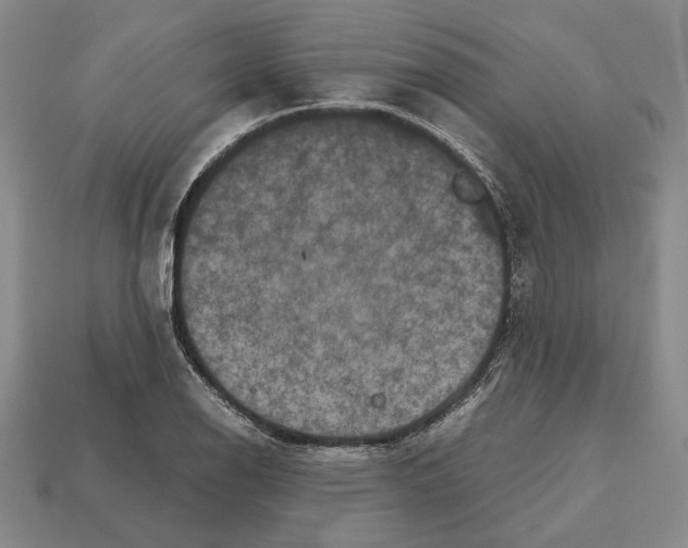 X0000112531126200909281032