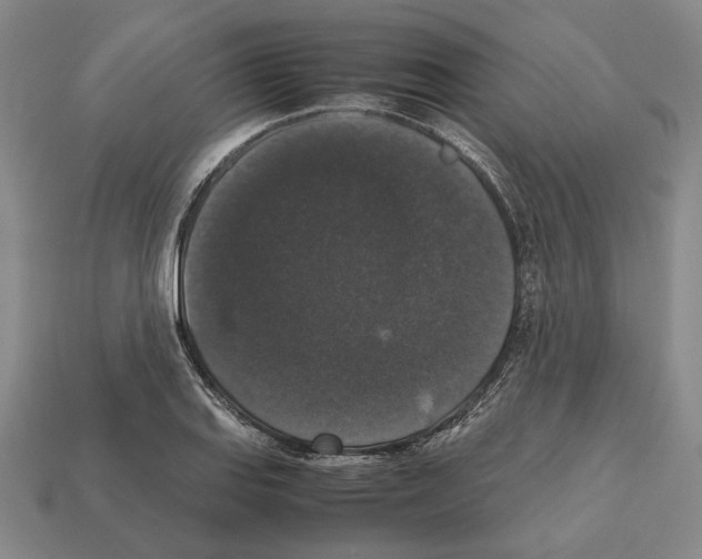 X0000112531127200909281032