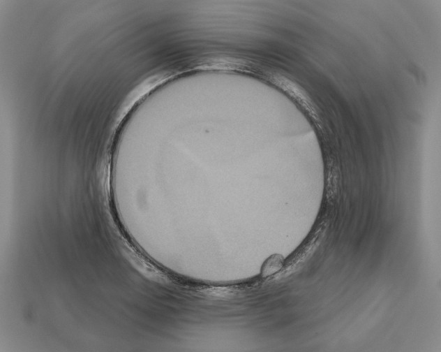 X0000112531130200909281032