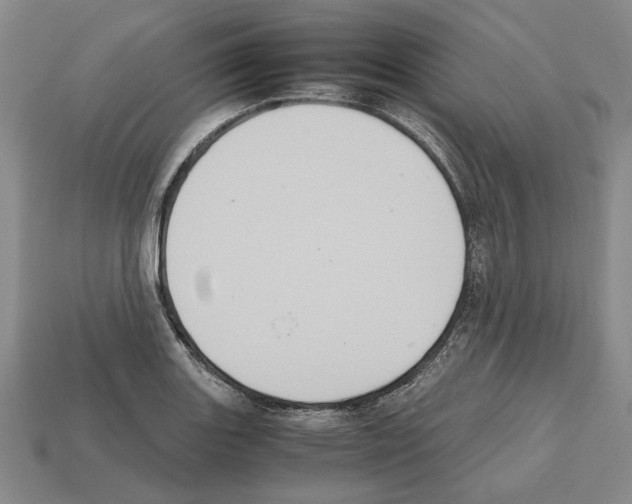 X0000112531131200909281032