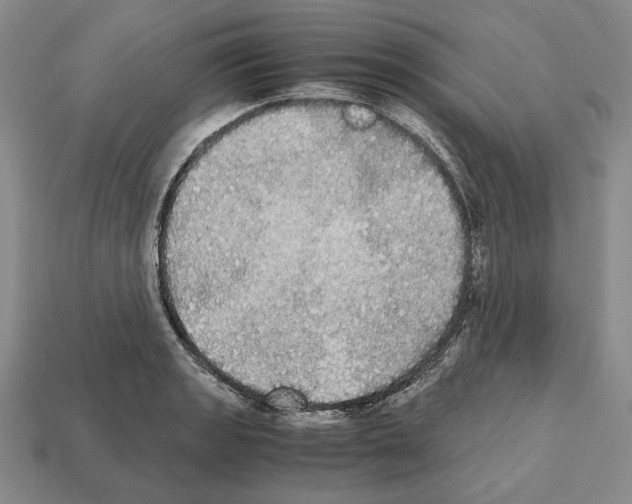 X0000112531133200909281032