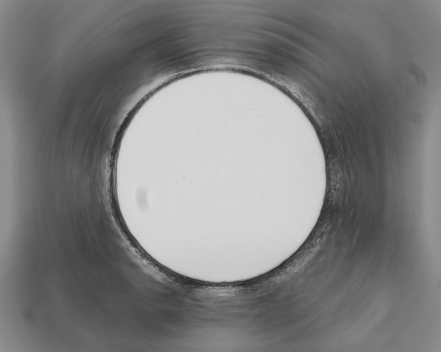 X0000112531134200909281032