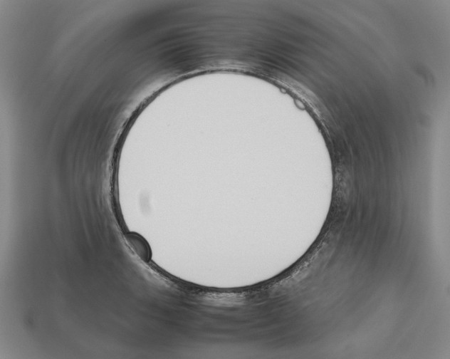 X0000112531135200909281032