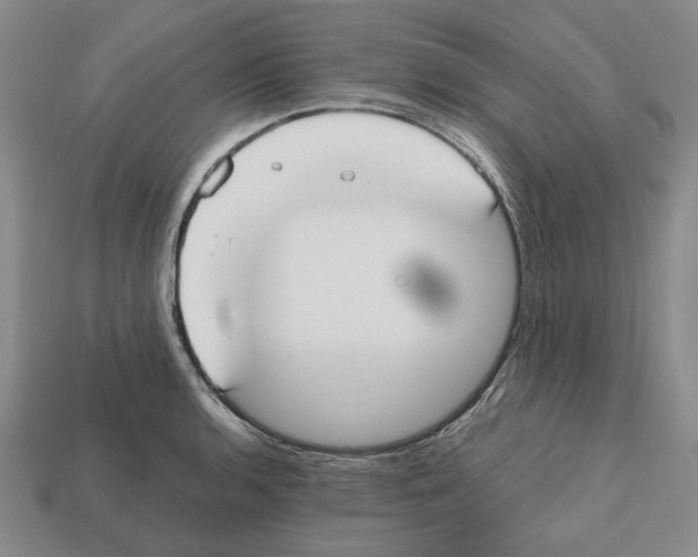 X0000112531136200909281032