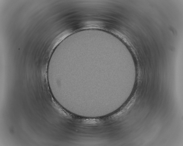 X0000112531137200909281032