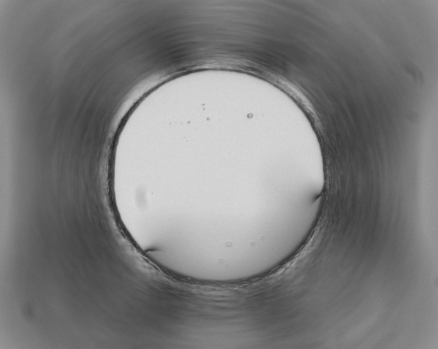 X0000112531138200909281032