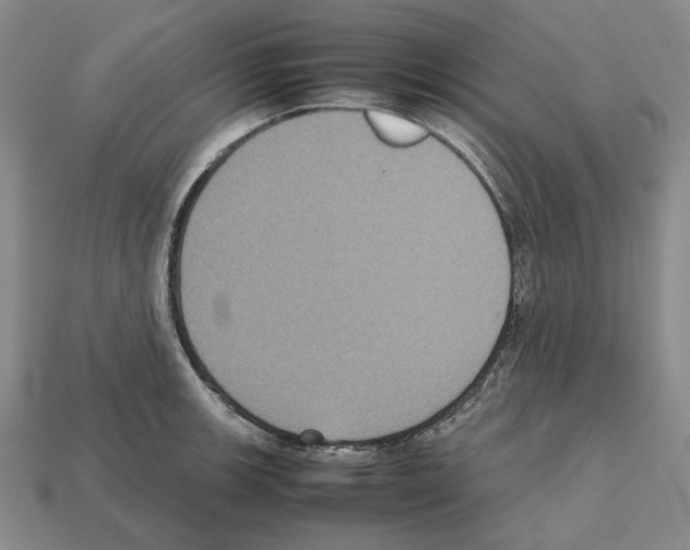 X0000112531139200909281032