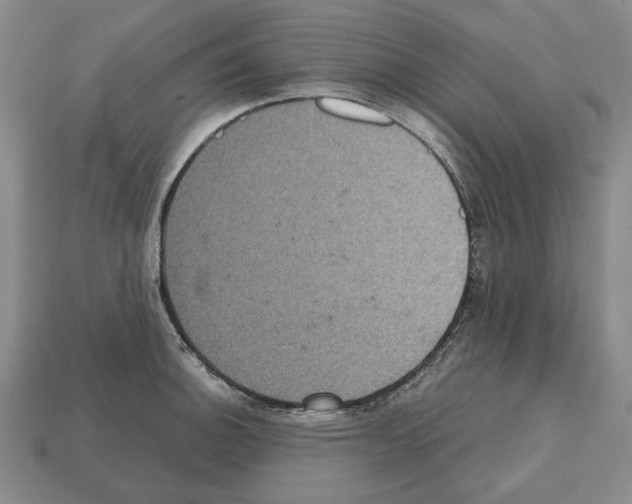 X0000112531140200909281032