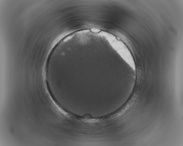 X0000112531141200909281032