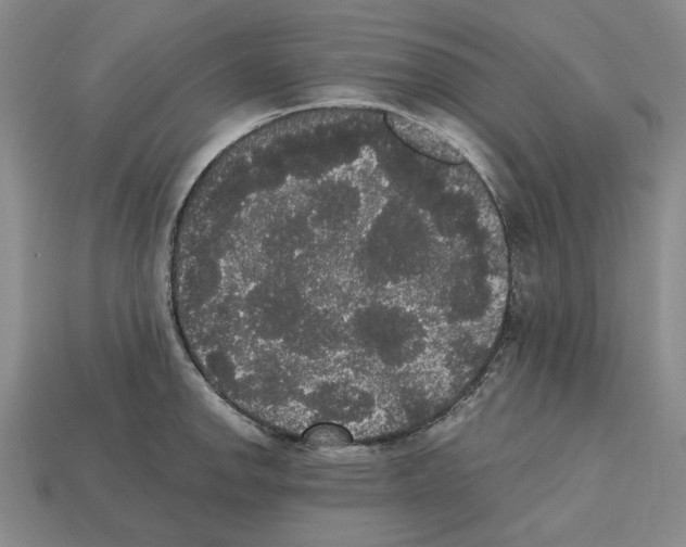 X0000112531142200909281032