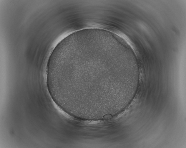 X0000112531143200909281032