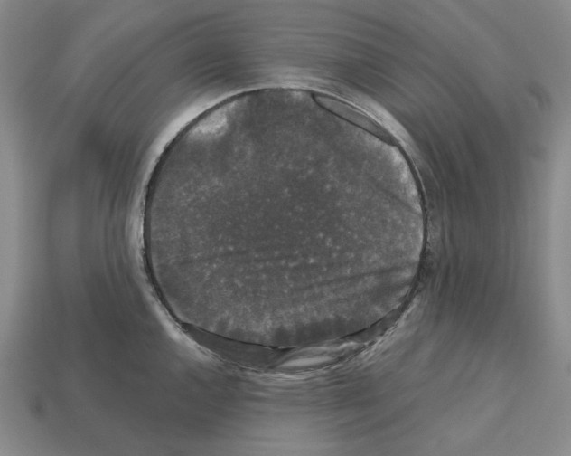 X0000112531144200909281032