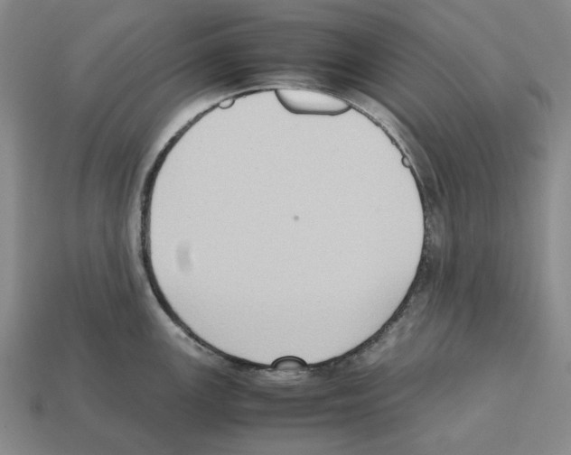 X0000112531147200909281032