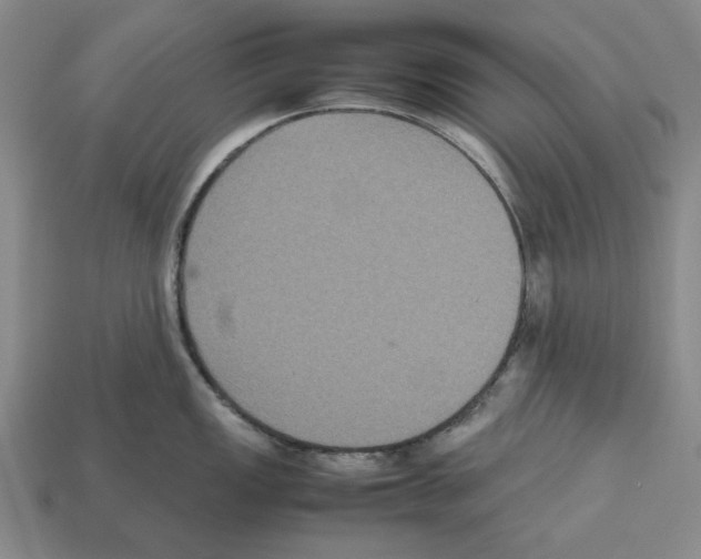 X0000112531149200909281032