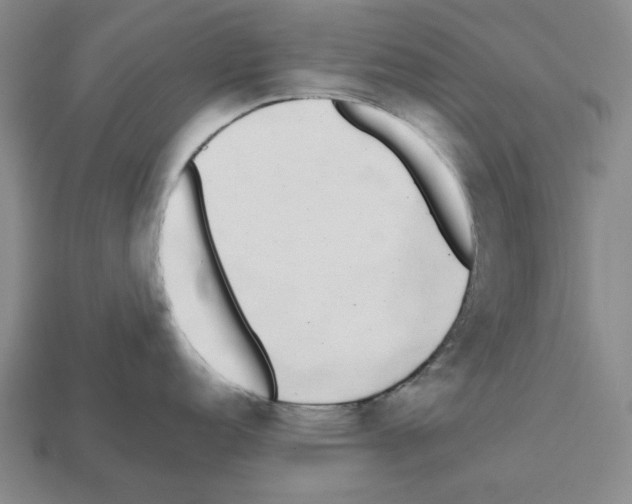 X0000112531152200909281032