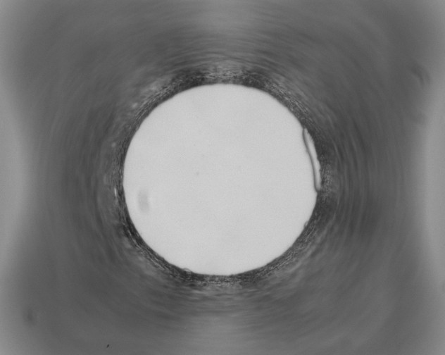 X0000112531153200909281032