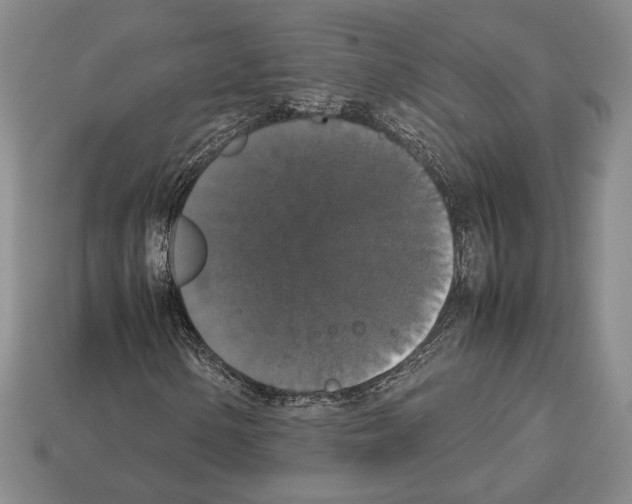 X0000112531154200909281032