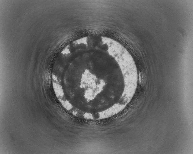 X0000112531155200909281032