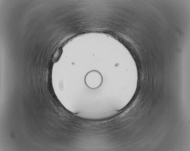 X0000112531161200909281032