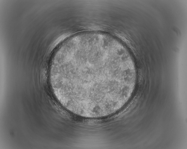 X0000112531163200909281032