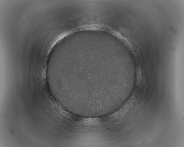 X0000112531166200909281032