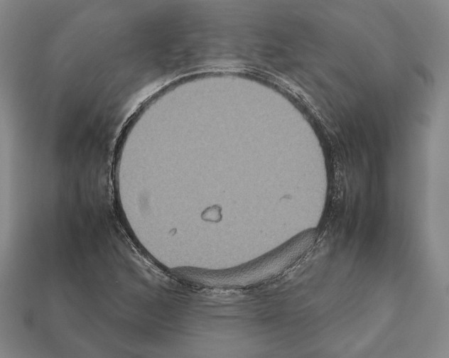 X0000112531168200909281032