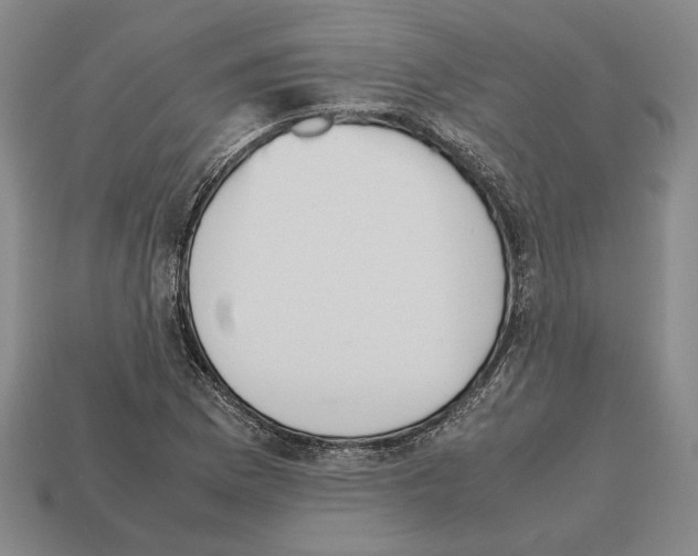 X0000112531169200909281031