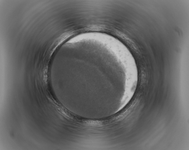 X0000112531170200909281031