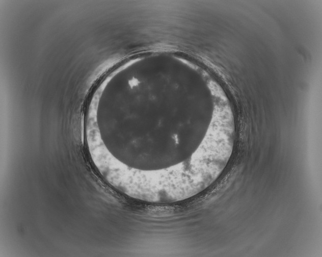 X0000112531171200909281031