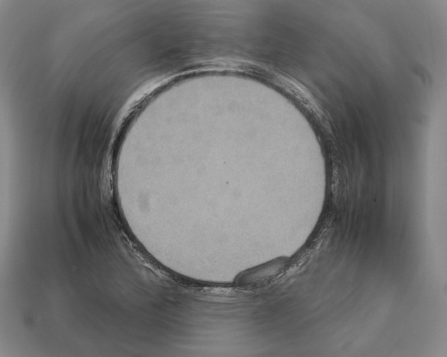 X0000112531172200909281031