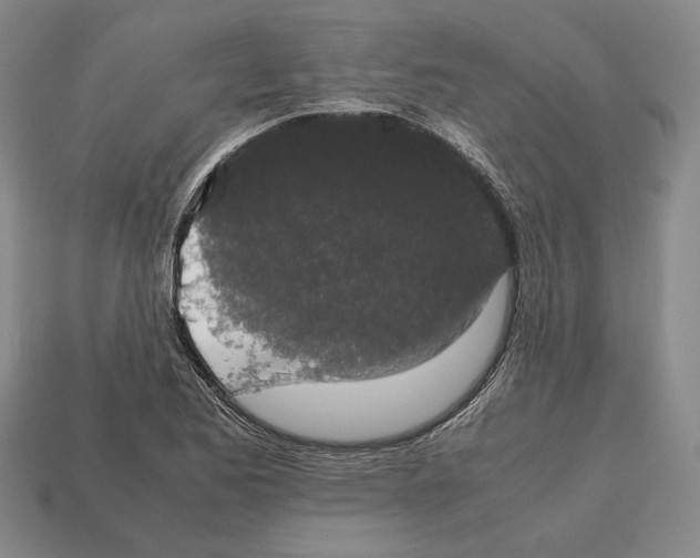 X0000112531173200909281031