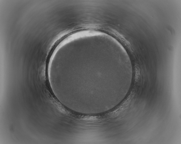 X0000112531174200909281031