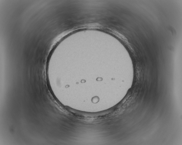 X0000112531176200909281031