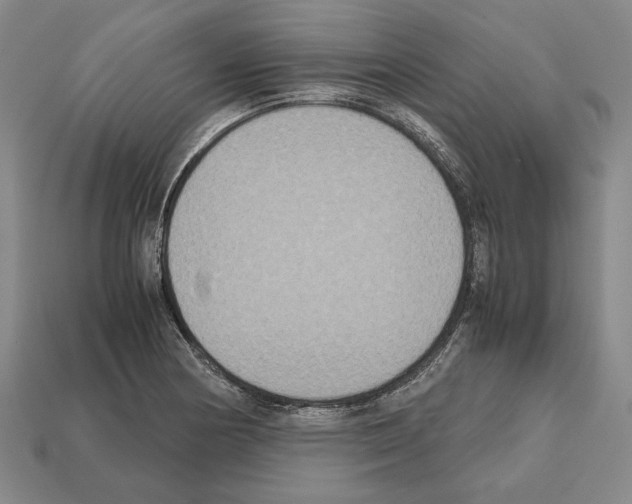 X0000112531178200909281031