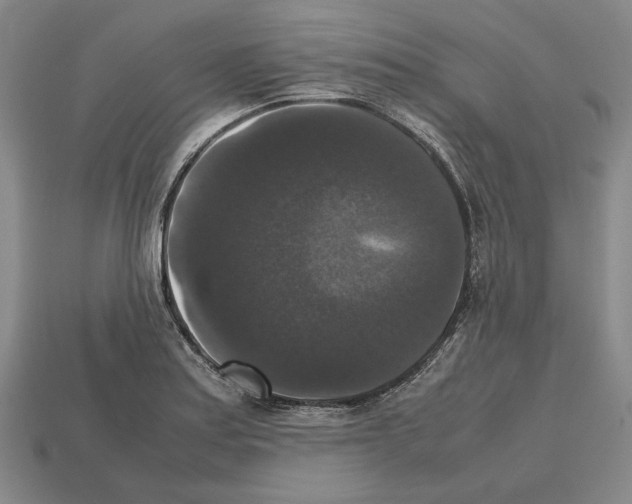 X0000112531179200909281031