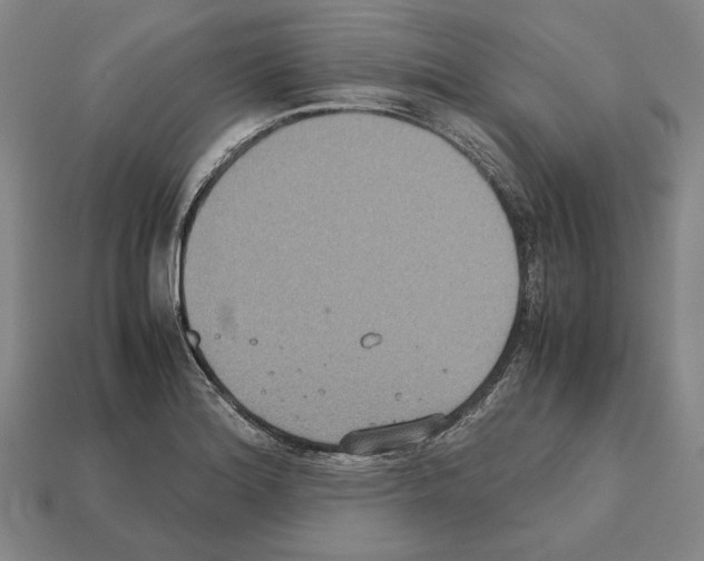 X0000112531180200909281031