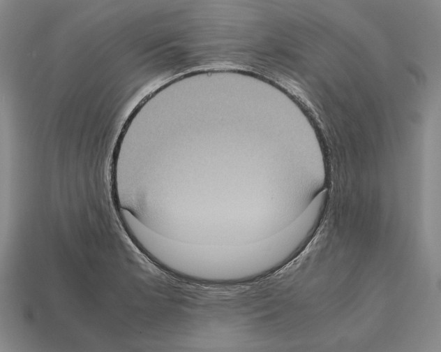 X0000112531181200909281031