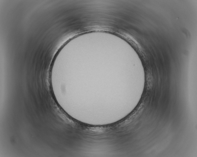 X0000112531182200909281031