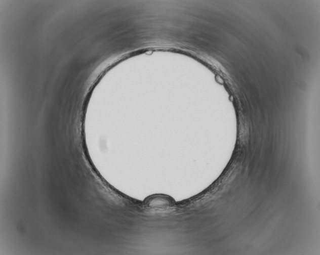 X0000112531183200909281031