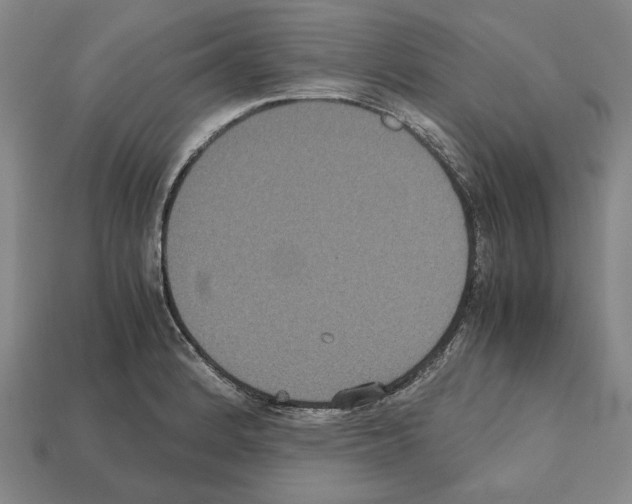 X0000112531184200909281031