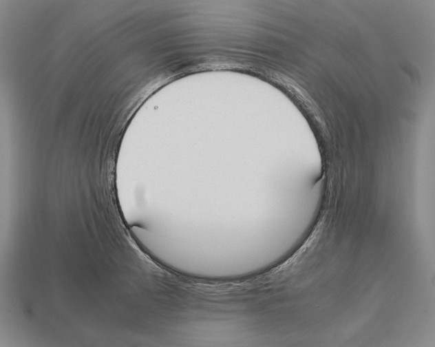 X0000112531185200909281031