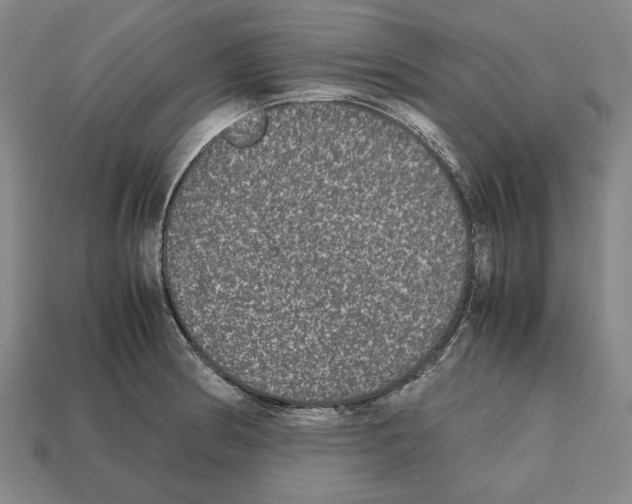 X0000112531186200909281031