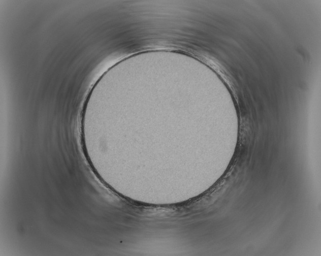 X0000112531187200909281031