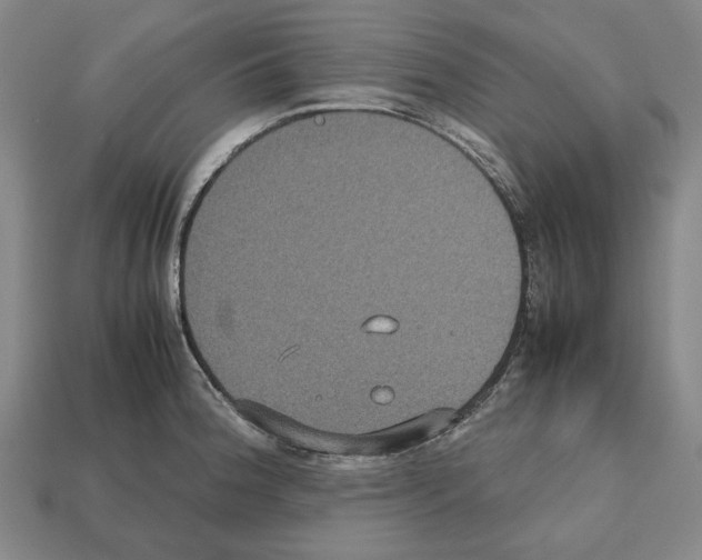 X0000112531188200909281031