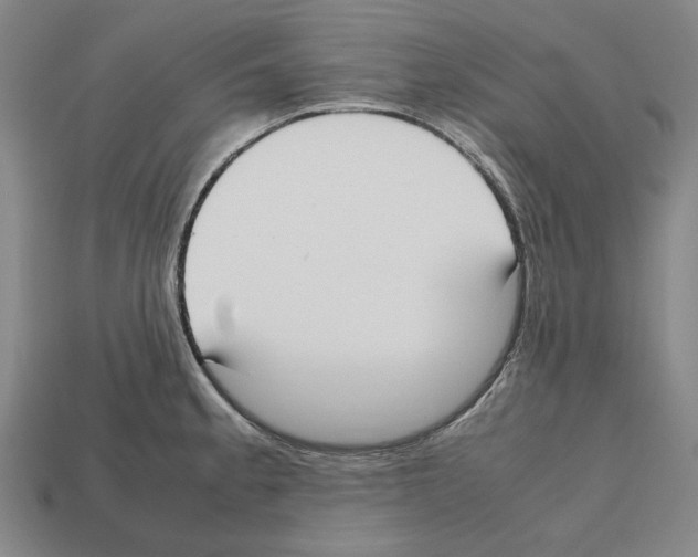 X0000112531189200909281031