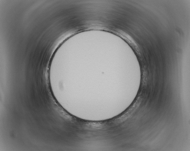 X0000112531190200909281031