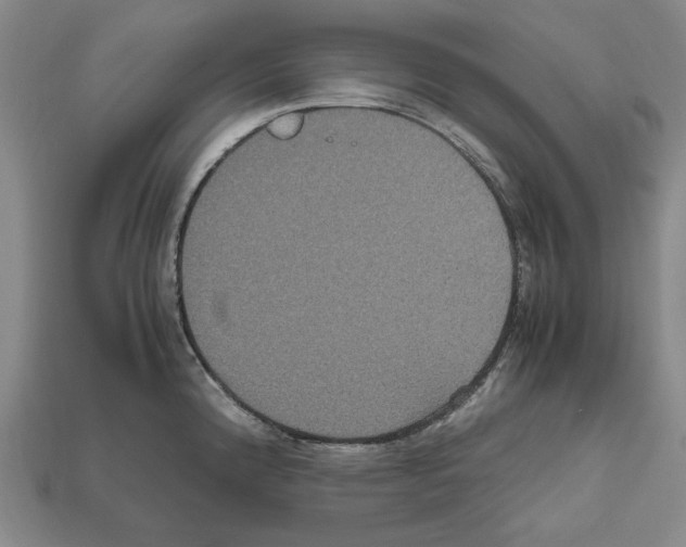 X0000112531192200909281031