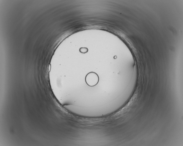 X0000112531193200909281031